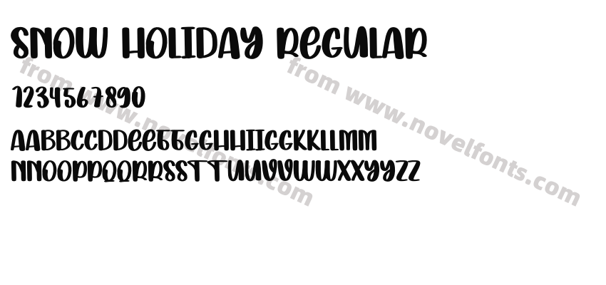 Snow Holiday RegularPreview