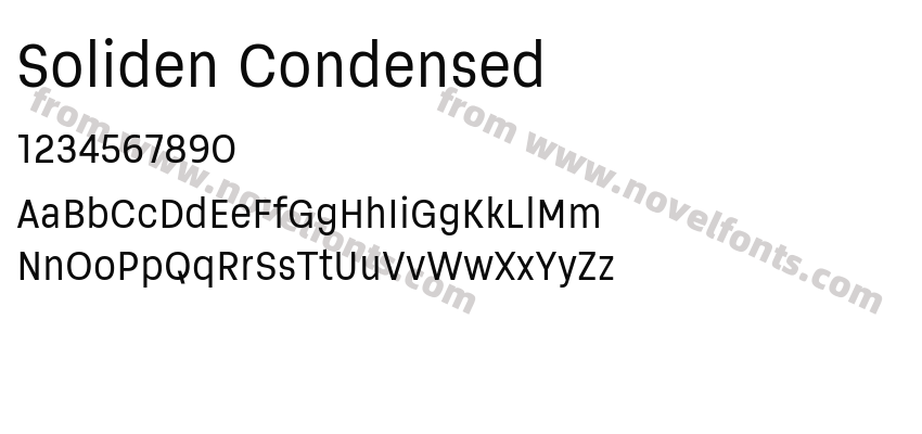 Soliden CondensedPreview