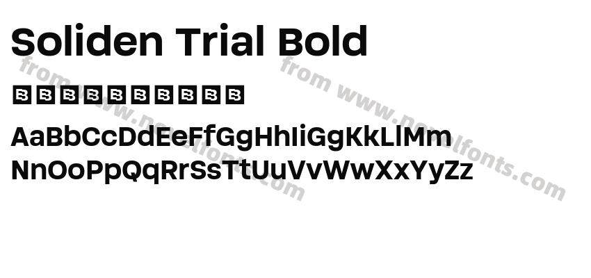 Soliden Trial BoldPreview