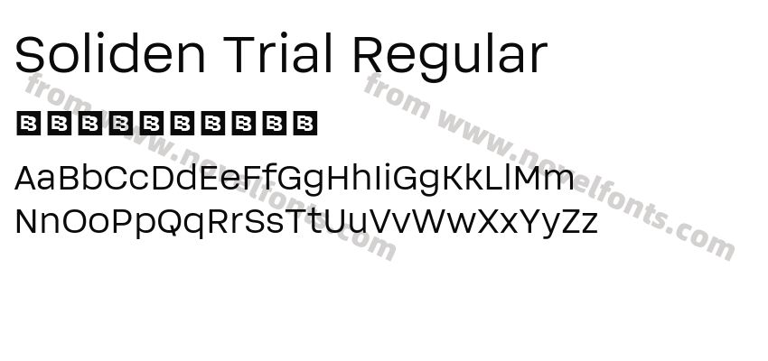 Soliden Trial RegularPreview