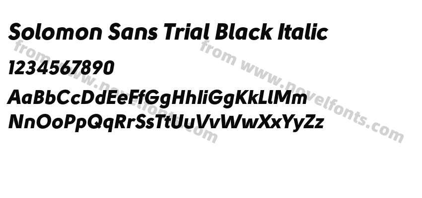 Solomon Sans Trial Black ItalicPreview