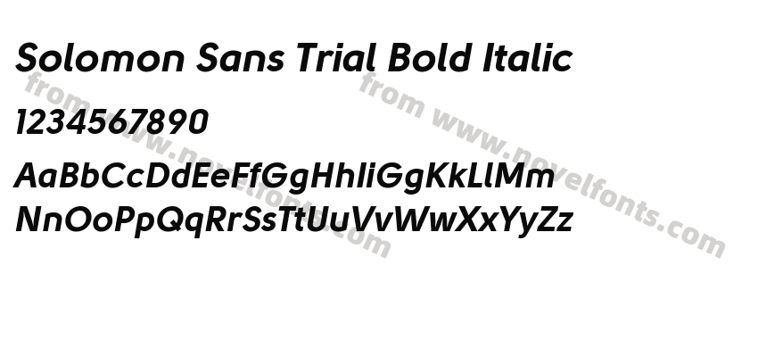 Solomon Sans Trial Bold ItalicPreview