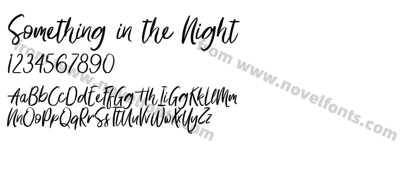 Something in the NightPreview