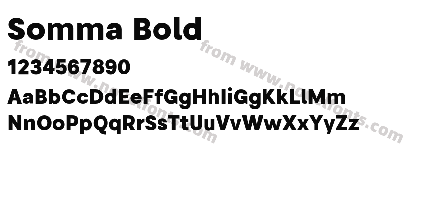 Somma BoldPreview