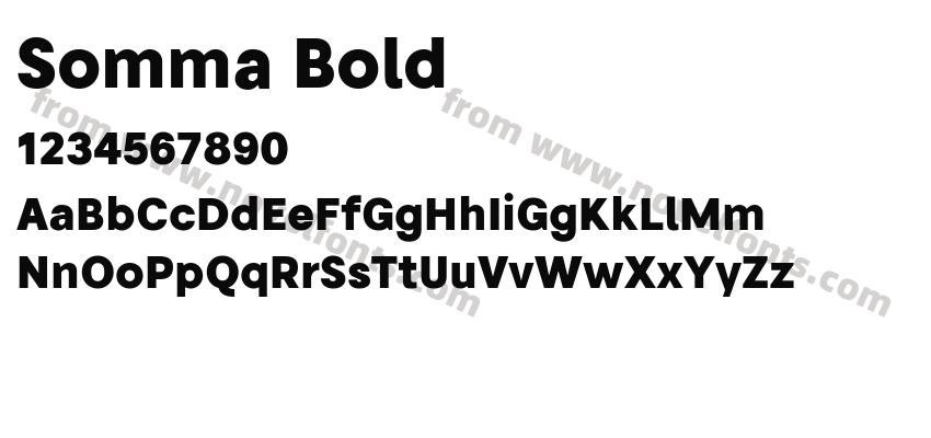Somma BoldPreview