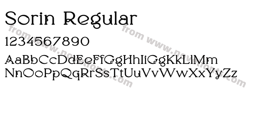 Sorin RegularPreview