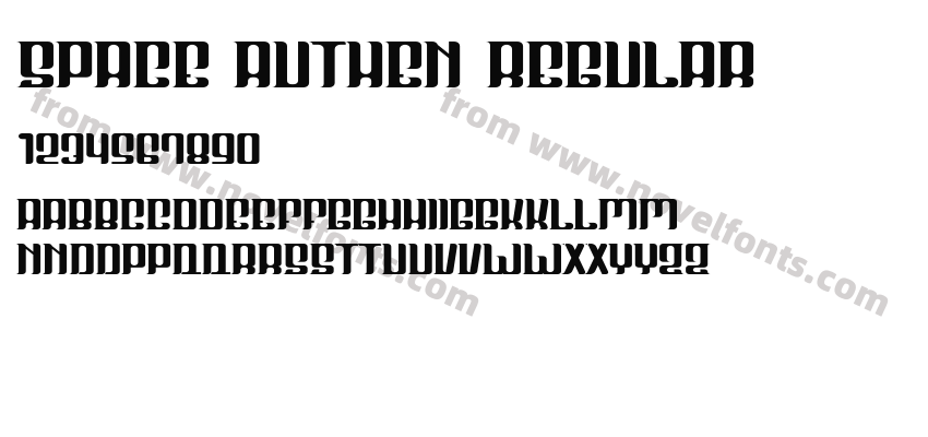 Space Authen RegularPreview