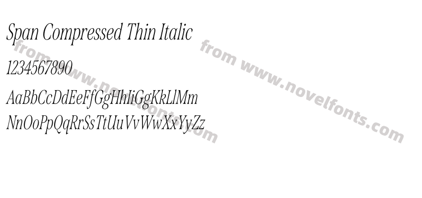 Span Compressed Thin ItalicPreview
