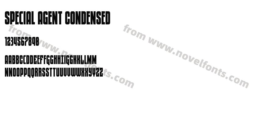 Special Agent CondensedPreview
