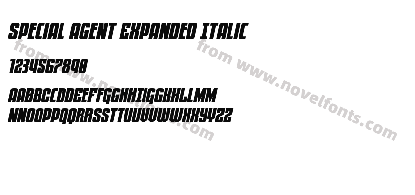 Special Agent Expanded ItalicPreview