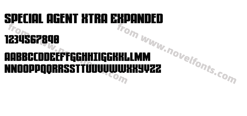 Special Agent Xtra ExpandedPreview