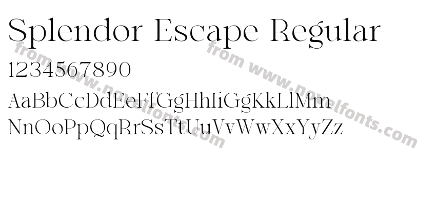 Splendor Escape RegularPreview