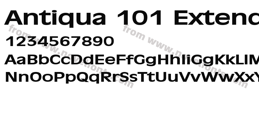 Antiqua 101 ExtendedPreview