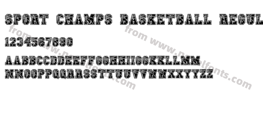 Sport Champs Basketball RegularPreview