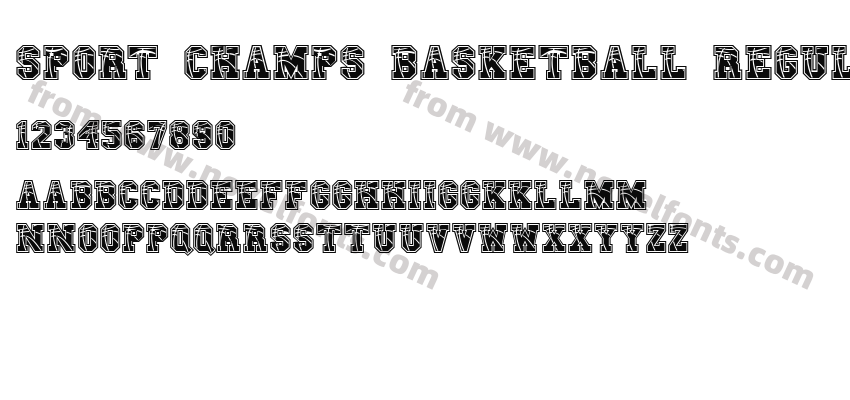 Sport Champs Basketball RegularPreview