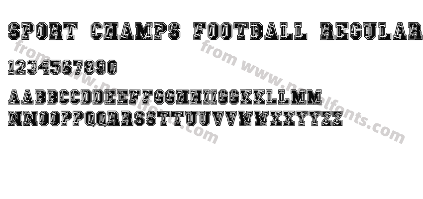 Sport Champs Football RegularPreview