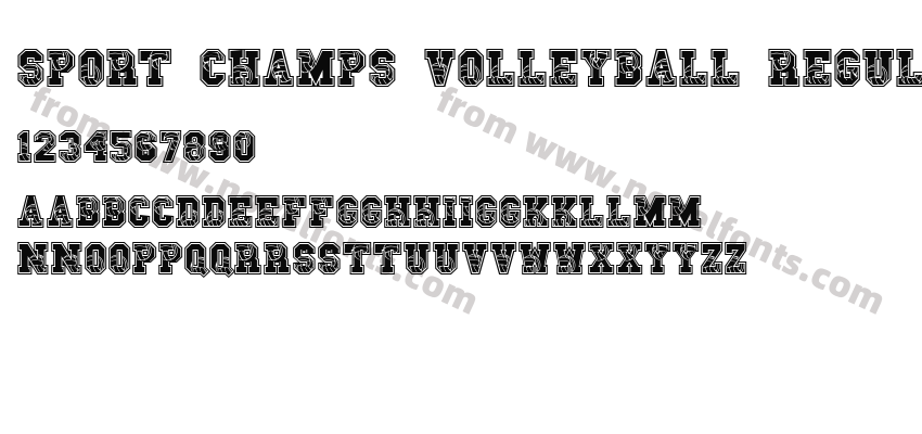 Sport Champs Volleyball RegularPreview