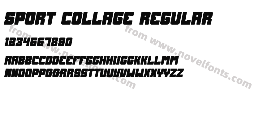 Sport Collage RegularPreview