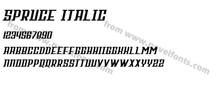 Spruce ItalicPreview