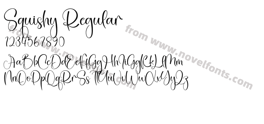 Squishy RegularPreview
