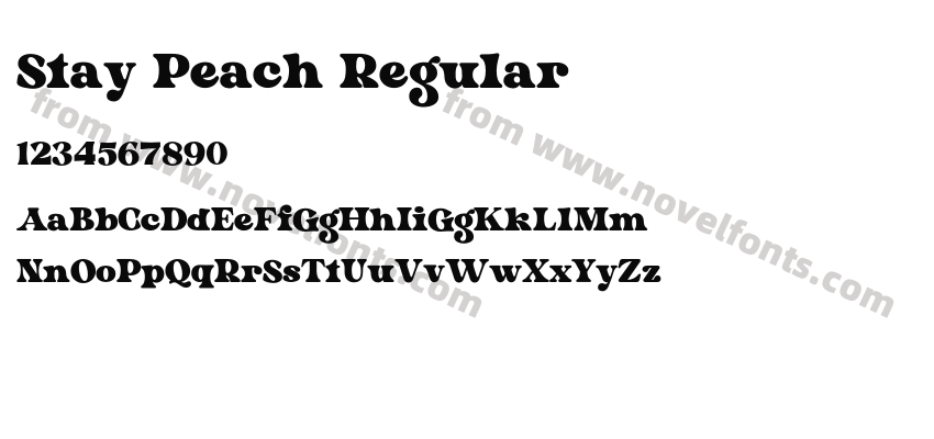 Stay Peach RegularPreview