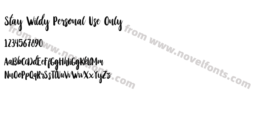 Stay Wildy Personal Use OnlyPreview