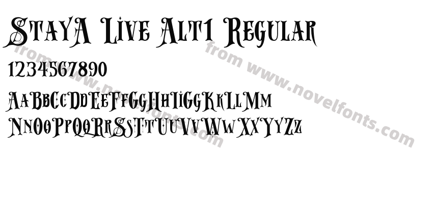 StayA Live Alt1 RegularPreview