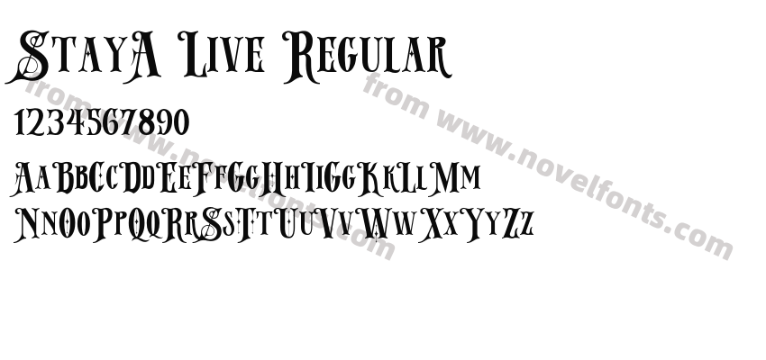 StayA Live RegularPreview