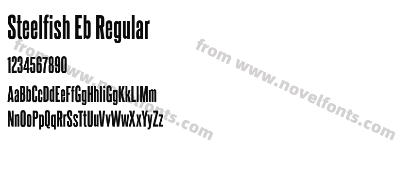 Steelfish Eb RegularPreview