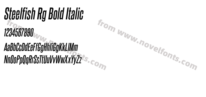 Steelfish Rg Bold ItalicPreview