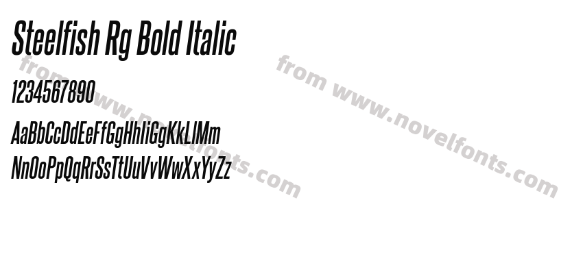 Steelfish Rg Bold ItalicPreview