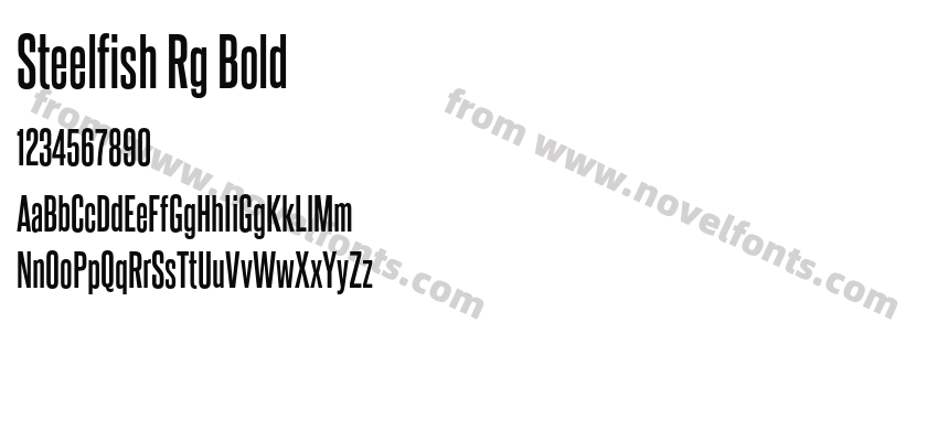 Steelfish Rg BoldPreview
