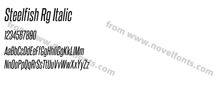 Steelfish Rg ItalicPreview