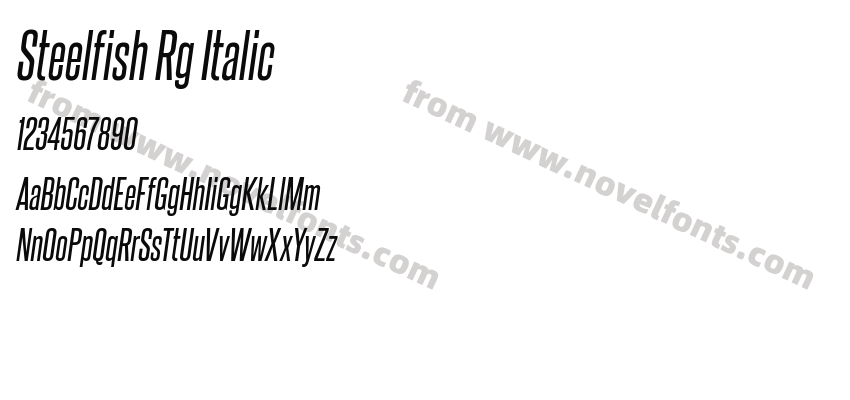 Steelfish Rg ItalicPreview