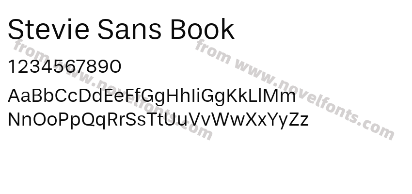 Stevie Sans BookPreview