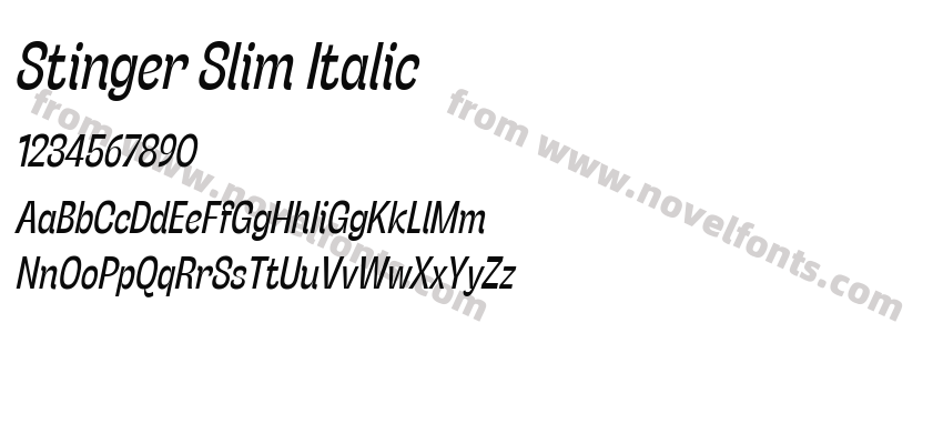 Stinger Slim ItalicPreview