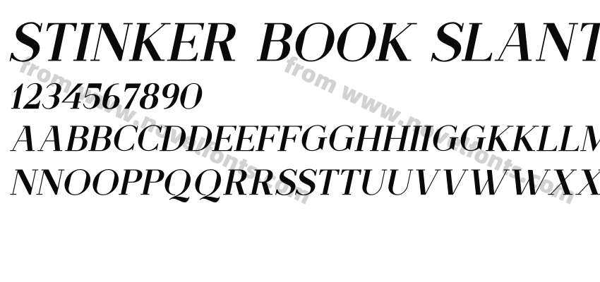 Stinker Book SlantPreview