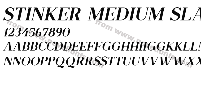 Stinker Medium SlantPreview