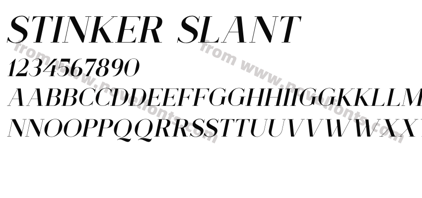 Stinker SlantPreview
