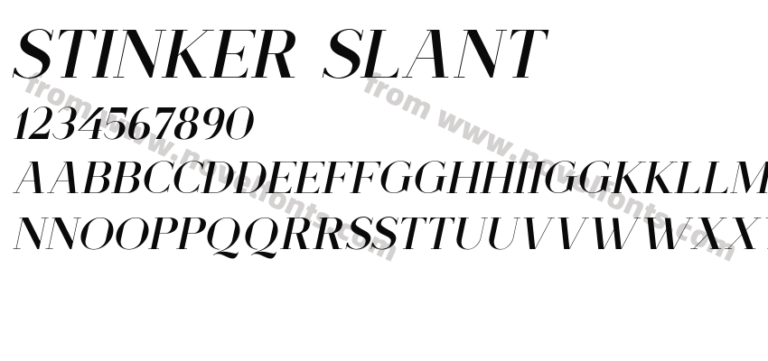 Stinker SlantPreview
