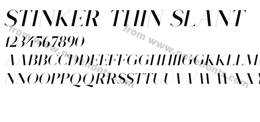 Stinker Thin SlantPreview