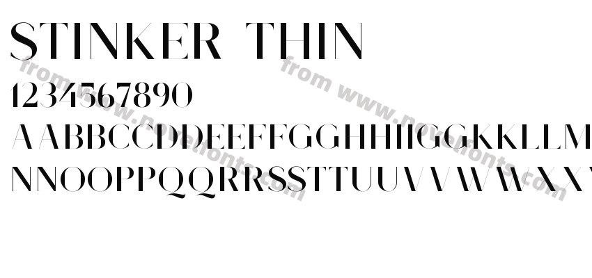 Stinker ThinPreview