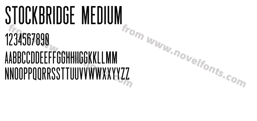 Stockbridge MediumPreview