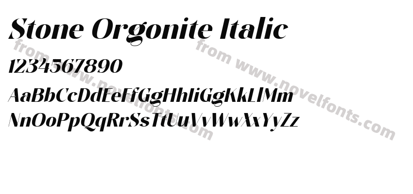 Stone Orgonite ItalicPreview