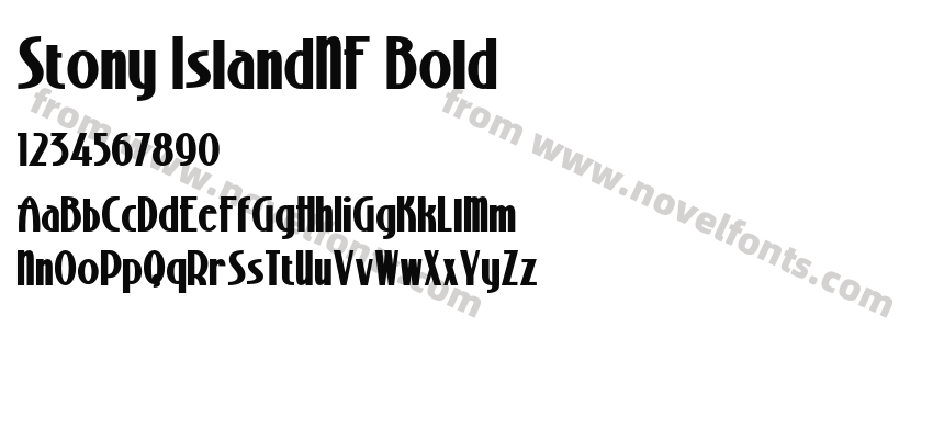 Stony IslandNF BoldPreview