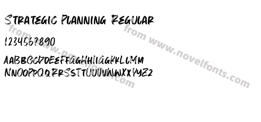 Strategic Planning RegularPreview