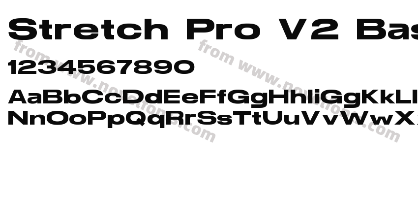 Stretch Pro V2 BasicPreview