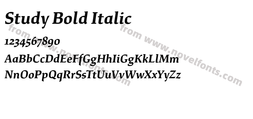 Study Bold ItalicPreview
