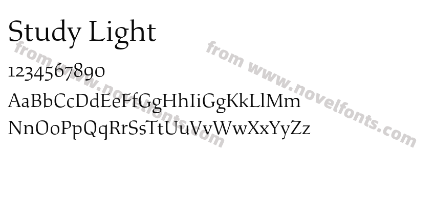 Study LightPreview