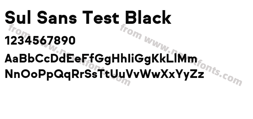 Sul Sans Test BlackPreview